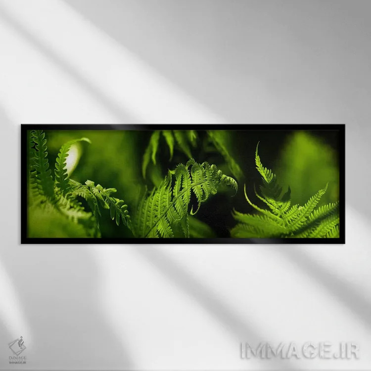تابلو دکوراتیو سرخس اثر پانورامیک ایمجز - نمای قابدار مشکی