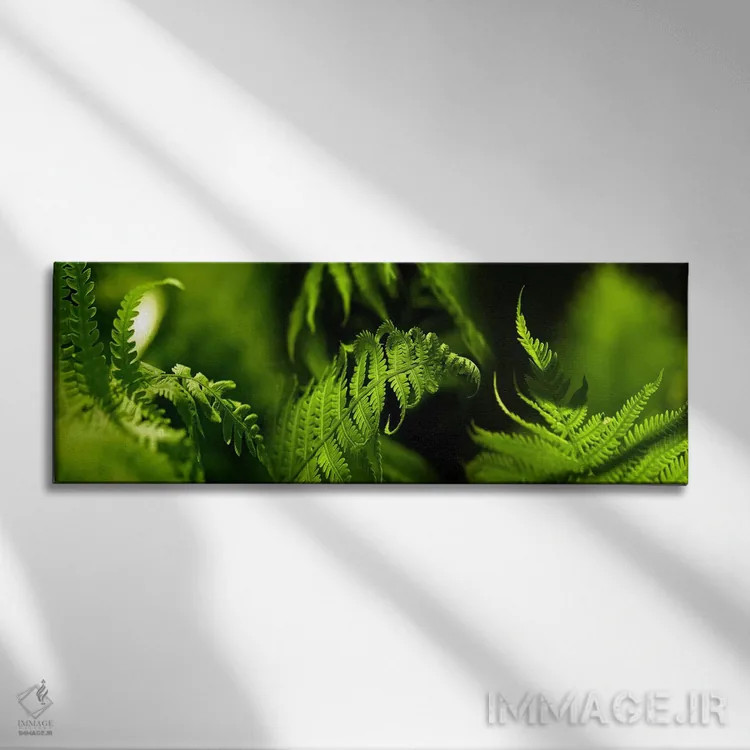 تابلو دکوراتیو سرخس اثر پانورامیک ایمجز - نمای روبهرو روی دیوار