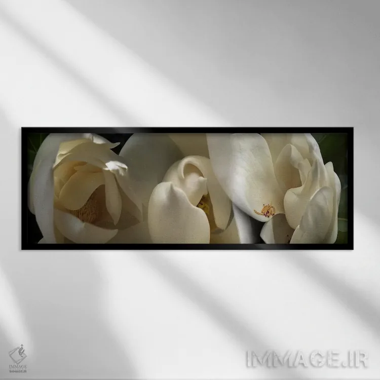 تابلو دکوراتیو گل های ماگنولیا #۵ اثر پانورامیک ایمجز - نمای قابدار مشکی