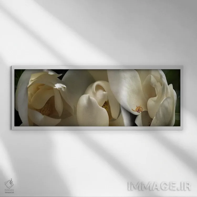تابلو دکوراتیو گل های ماگنولیا #۵ اثر پانورامیک ایمجز - نمای قابدار سفید