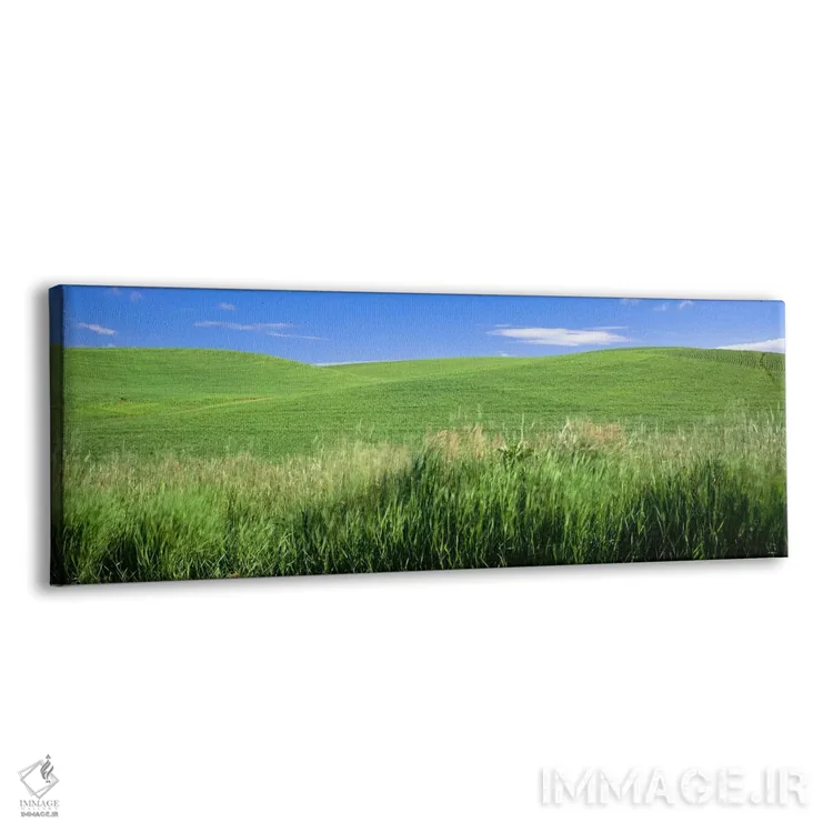 تابلو دکوراتیو Palouse, Whitman County, Washington State, USA,تپه سبز… اثر پانورامیک ایمجز - نمای پرسپکتیو محصول