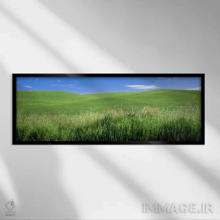 تابلو دکوراتیو Palouse, Whitman County, Washington State, USA,تپه سبز… اثر پانورامیک ایمجز - نمای قابدار مشکی