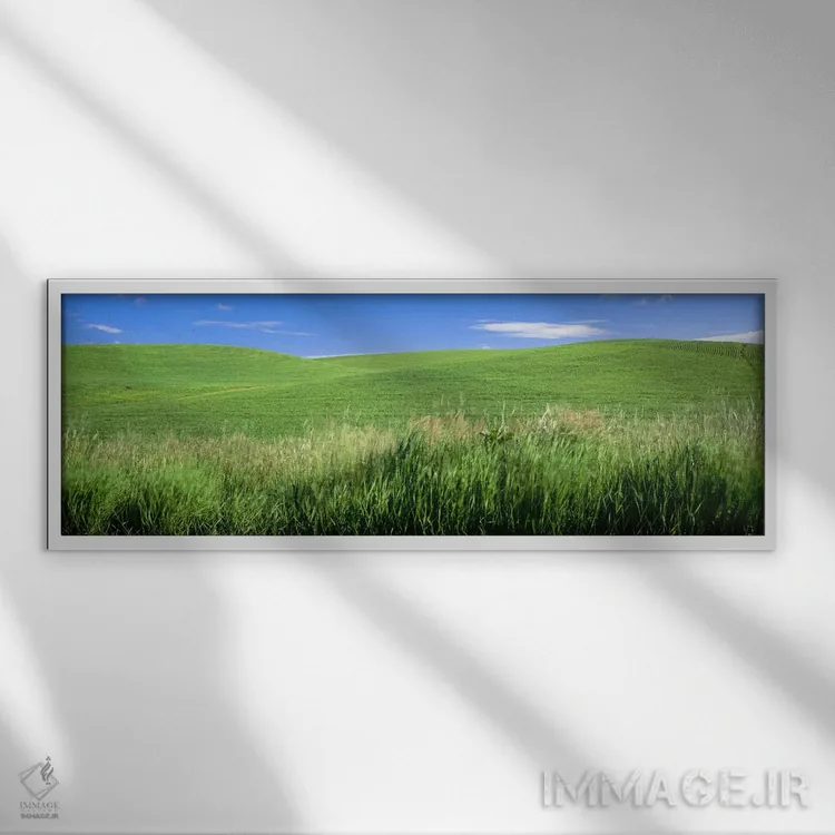 تابلو دکوراتیو Palouse, Whitman County, Washington State, USA,تپه سبز… اثر پانورامیک ایمجز - نمای قابدار سفید