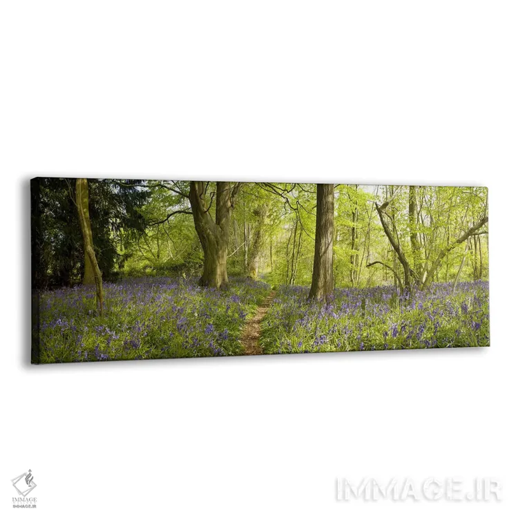 تابلو دکوراتیو Thursford Wood, Norfolk, England,درختان در جنگل، جنگل ت… اثر پانورامیک ایمجز - نمای پرسپکتیو محصول