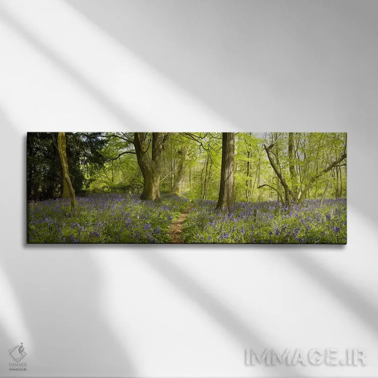 تابلو دکوراتیو Thursford Wood, Norfolk, England,درختان در جنگل، جنگل ت… اثر پانورامیک ایمجز - نمای روبهرو روی دیوار