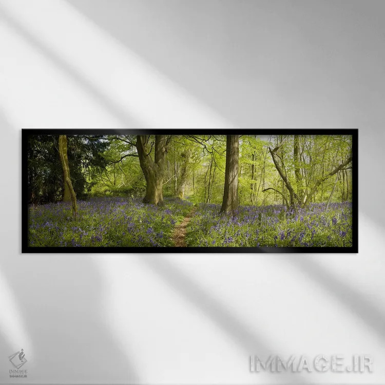 تابلو دکوراتیو Thursford Wood, Norfolk, England,درختان در جنگل، جنگل ت… اثر پانورامیک ایمجز - نمای قابدار مشکی