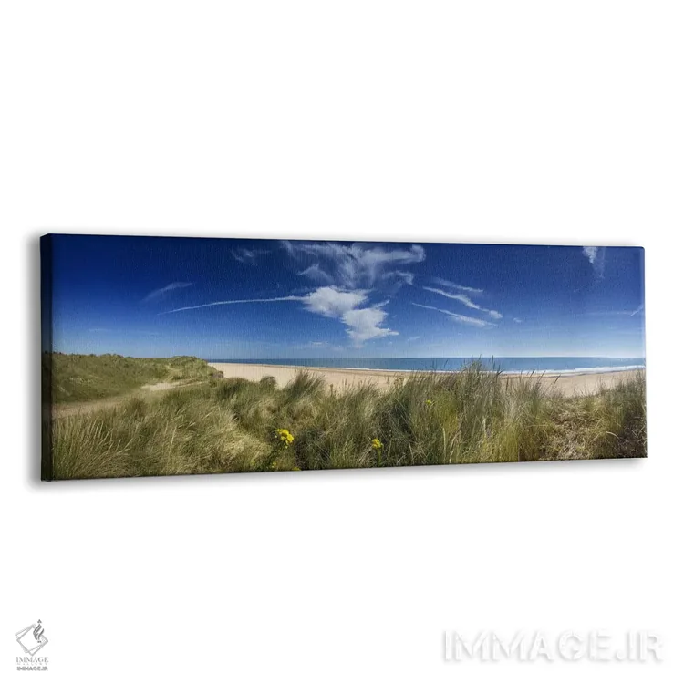 تابلو دکوراتیو Winterton-on-Sea, Norfolk, England,تل های شنی و ساحل با… اثر پانورامیک ایمجز - نمای پرسپکتیو محصول