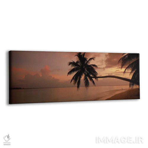 تابلو دکوراتیو Maldives,سایه نخل ها در ساحل هنگام طلوع، جزیره فیهالهوی… اثر پانورامیک ایمجز - نمای پرسپکتیو محصول