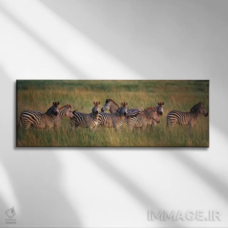 تابلو دکوراتیو Masai Mara National Reserve, Kenya,گورخرهای برچل در جنگ… اثر پانورامیک ایمجز - نمای روبهرو روی دیوار