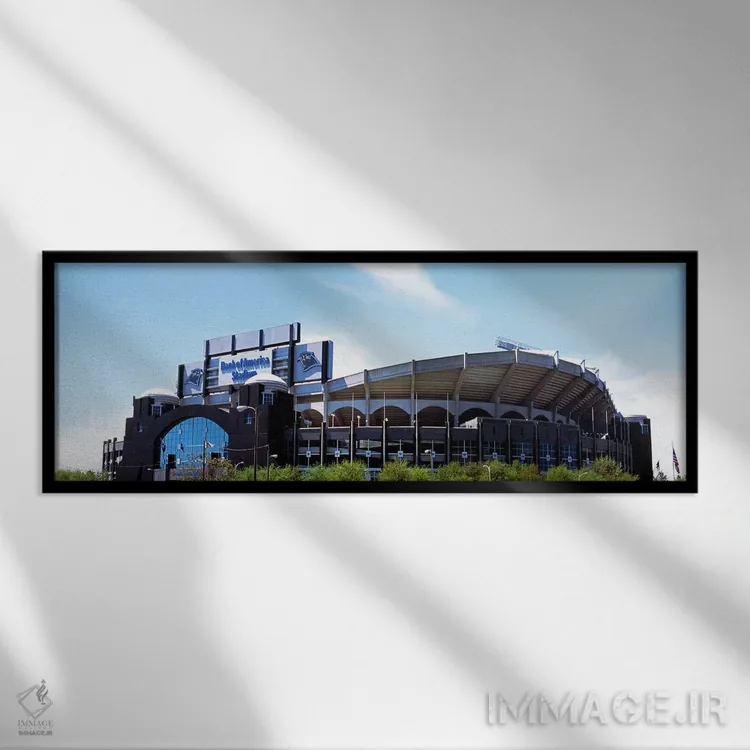 تابلو دکوراتیو Bank of America Stadium, Charlotte, Mecklenburg County… اثر پانورامیک ایمجز - نمای قابدار مشکی