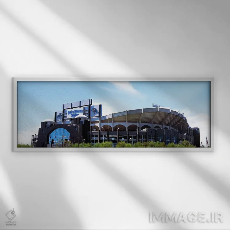 تابلو دکوراتیو Bank of America Stadium, Charlotte, Mecklenburg County… اثر پانورامیک ایمجز - نمای قابدار سفید