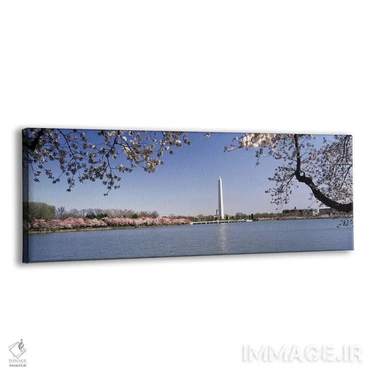 تابلو دکوراتیو Tidal Basin, Washington DC, USA,شکوفه گیلاس با بنای یاد… اثر پانورامیک ایمجز - نمای پرسپکتیو محصول