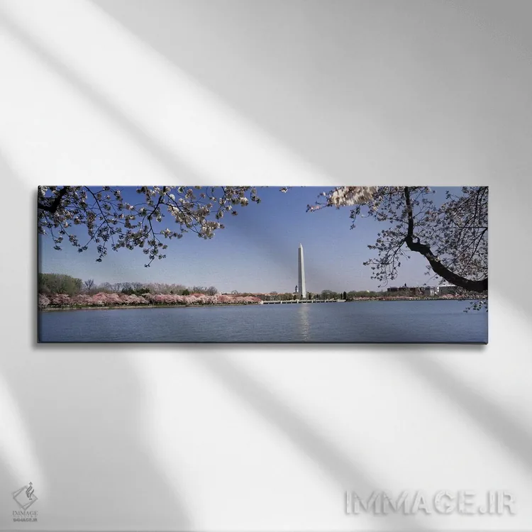 تابلو دکوراتیو Tidal Basin, Washington DC, USA,شکوفه گیلاس با بنای یاد… اثر پانورامیک ایمجز - نمای روبهرو روی دیوار