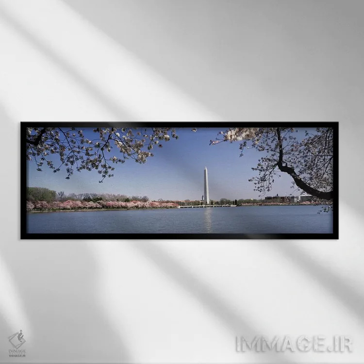 تابلو دکوراتیو Tidal Basin, Washington DC, USA,شکوفه گیلاس با بنای یاد… اثر پانورامیک ایمجز - نمای قابدار مشکی