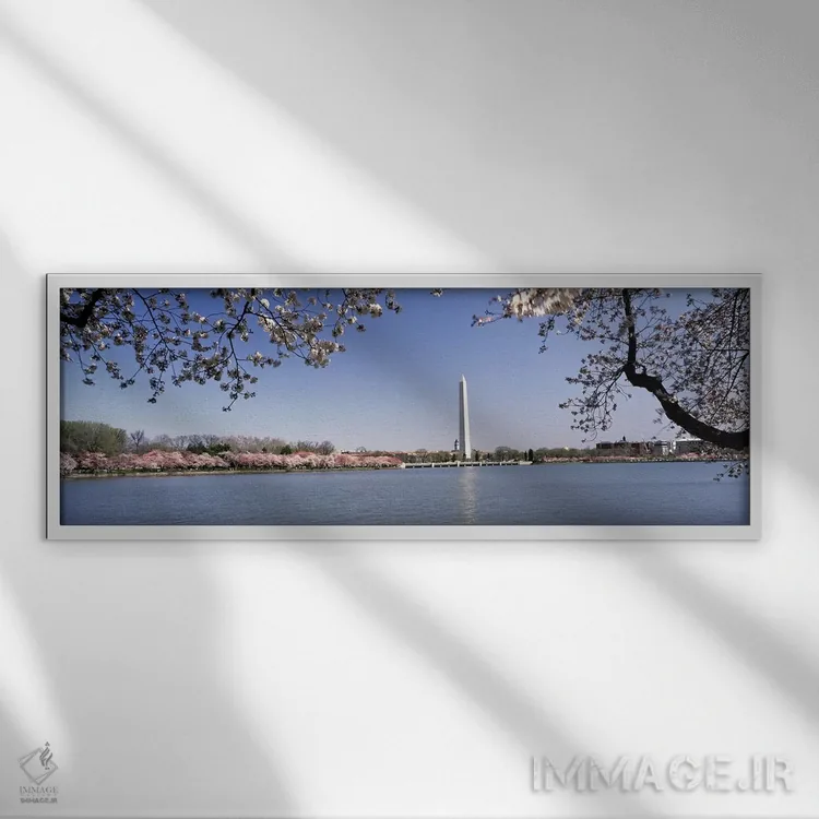 تابلو دکوراتیو Tidal Basin, Washington DC, USA,شکوفه گیلاس با بنای یاد… اثر پانورامیک ایمجز - نمای قابدار سفید