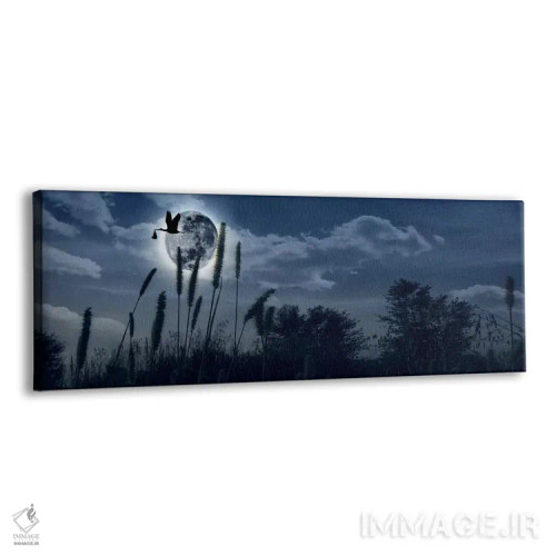 تابلو دکوراتیو لک لک در حال پرواز با نوزاد در منقار بر فراز ماه اثر پانورامیک ایمجز - نمای پرسپکتیو محصول