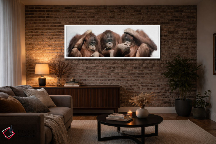 تابلو دکوراتیو نمای نزدیک از سه اورانگوتان اثر پانورامیک ایمجز - D3W