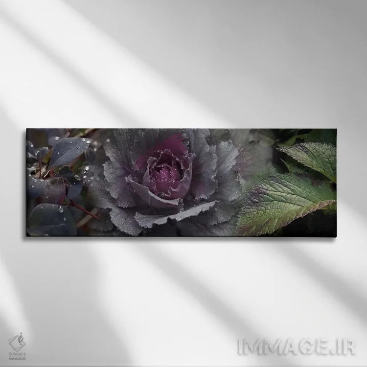 تابلو دکوراتیو نمای نزدیک از برگ ها و کلم تزیینی با قطرات آب اثر پانورامیک ایمجز - نمای روبهرو روی دیوار