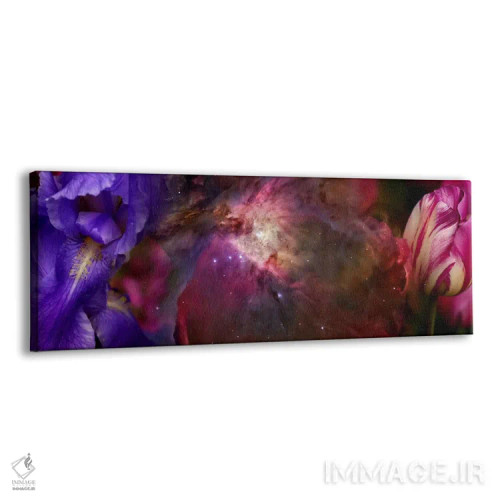 تابلو دکوراتیو نمای نزدیک از کهکشان هابل با گل زنبق و لاله اثر پانورامیک ایمجز - نمای پرسپکتیو محصول