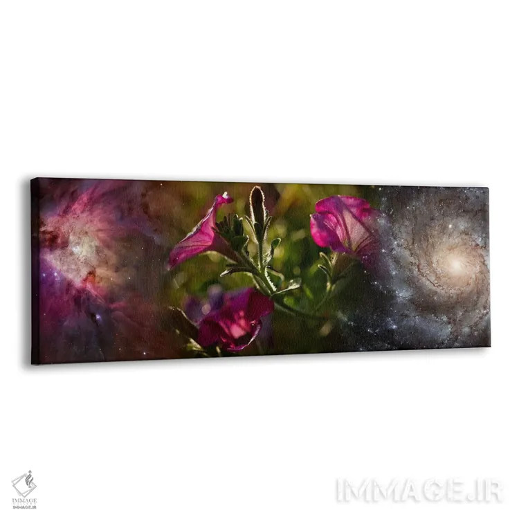 تابلو دکوراتیو نمای نزدیک از گل ها و جهان اثر پانورامیک ایمجز - نمای پرسپکتیو محصول