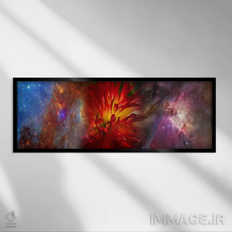 تابلو دکوراتیو کهکشان هابل با گل داوودی قرمز اثر پانورامیک ایمجز - نمای قابدار مشکی