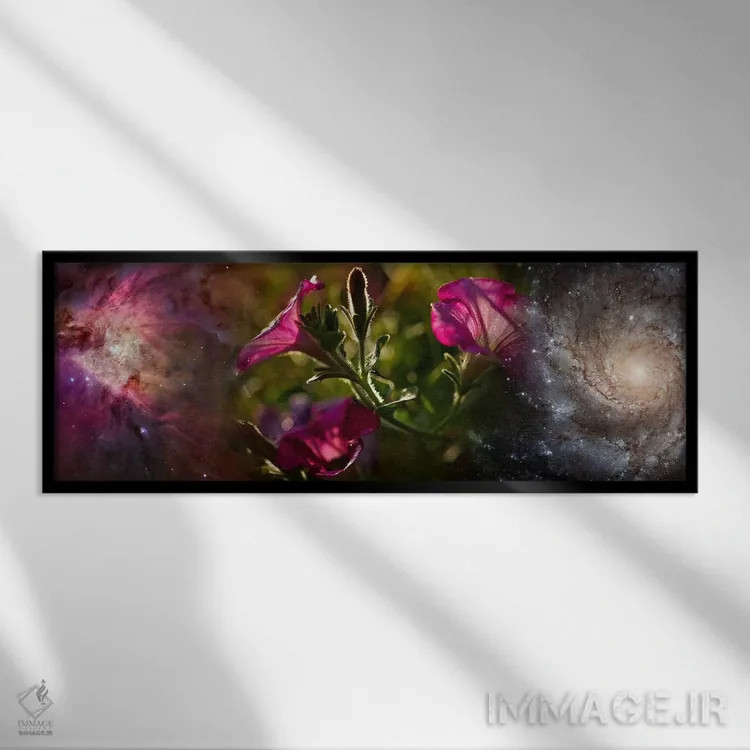 تابلو دکوراتیو نمای نزدیک از گل ها و جهان اثر پانورامیک ایمجز - نمای قابدار مشکی
