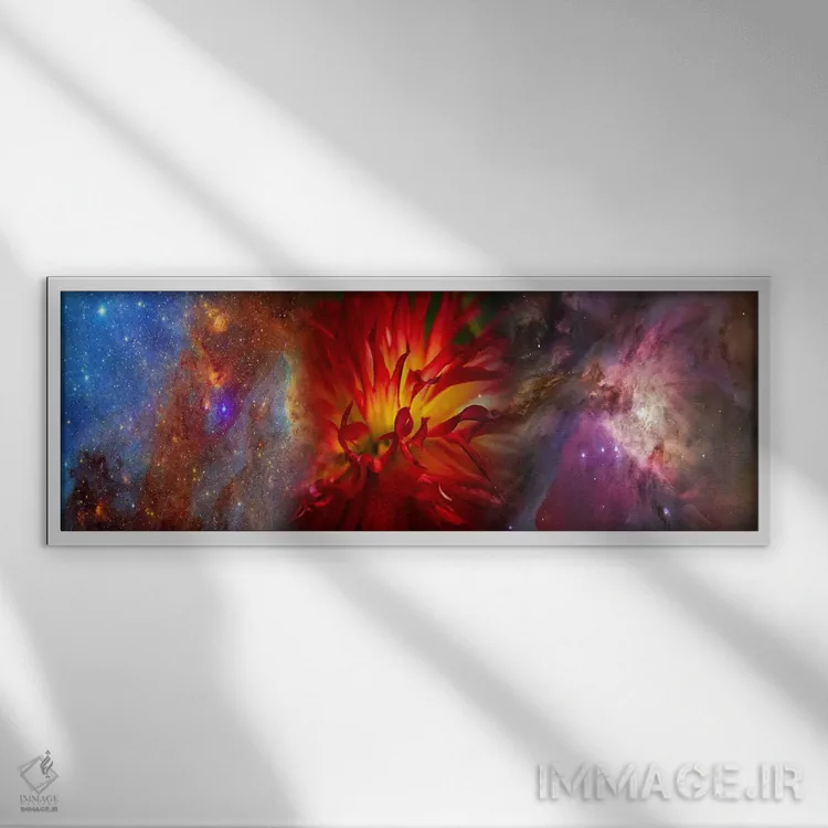 تابلو دکوراتیو کهکشان هابل با گل داوودی قرمز اثر پانورامیک ایمجز - نمای قابدار سفید