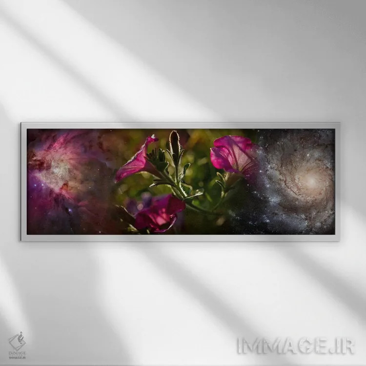 تابلو دکوراتیو نمای نزدیک از گل ها و جهان اثر پانورامیک ایمجز - نمای قابدار سفید