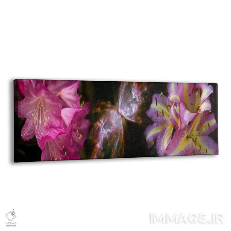 تابلو دکوراتیو سحابی پروانه با گل زنبق و گل های صورتی اثر پانورامیک ایمجز - نمای پرسپکتیو محصول