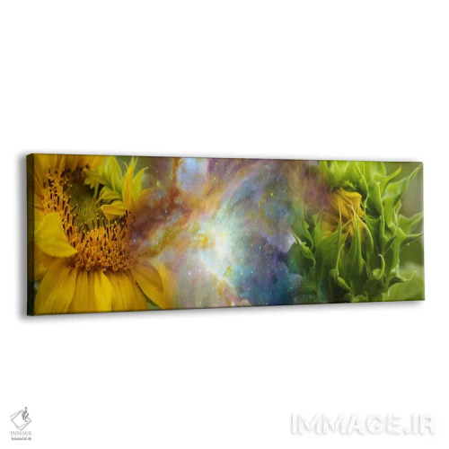 تابلو دکوراتیو دو گل آفتابگردان با سحابی گازی اثر پانورامیک ایمجز - نمای پرسپکتیو محصول