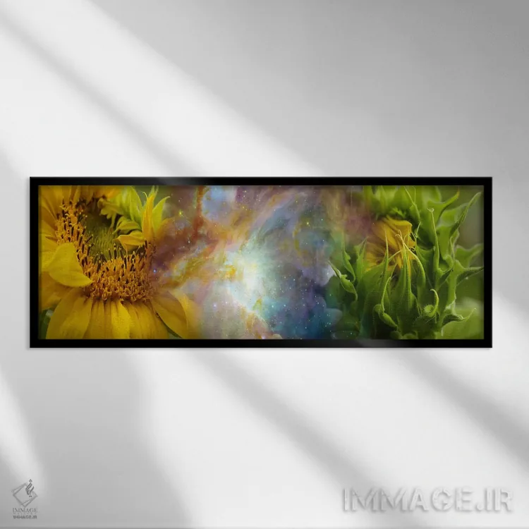 تابلو دکوراتیو دو گل آفتابگردان با سحابی گازی اثر پانورامیک ایمجز - نمای قابدار مشکی