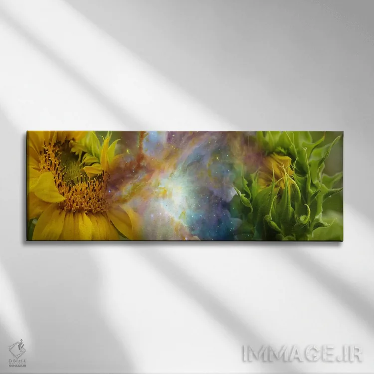 تابلو دکوراتیو دو گل آفتابگردان با سحابی گازی اثر پانورامیک ایمجز - نمای روبهرو روی دیوار