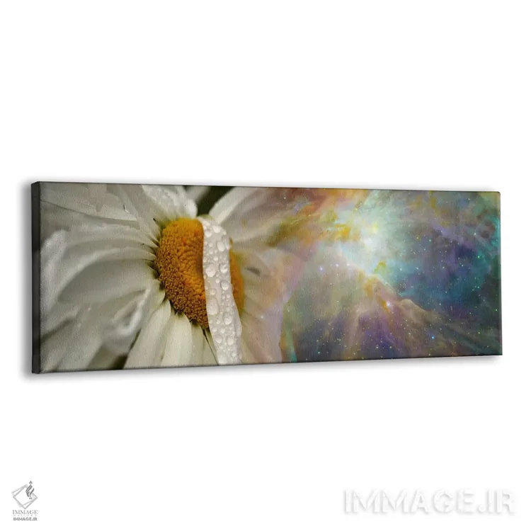 تابلو دکوراتیو گل مروارید با کیهان هابل اثر پانورامیک ایمجز - نمای پرسپکتیو محصول