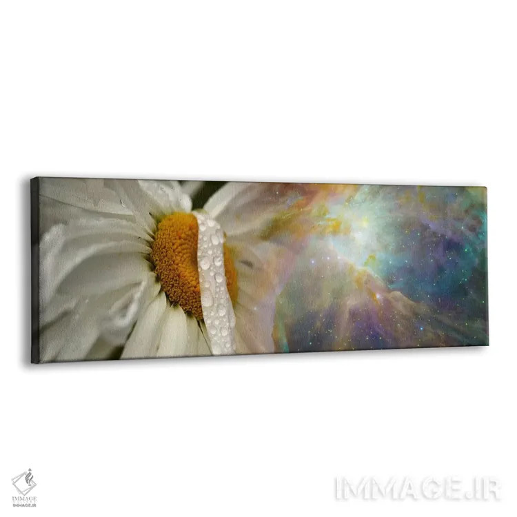 تابلو دکوراتیو گل مروارید با کیهان هابل اثر پانورامیک ایمجز - نمای پرسپکتیو محصول