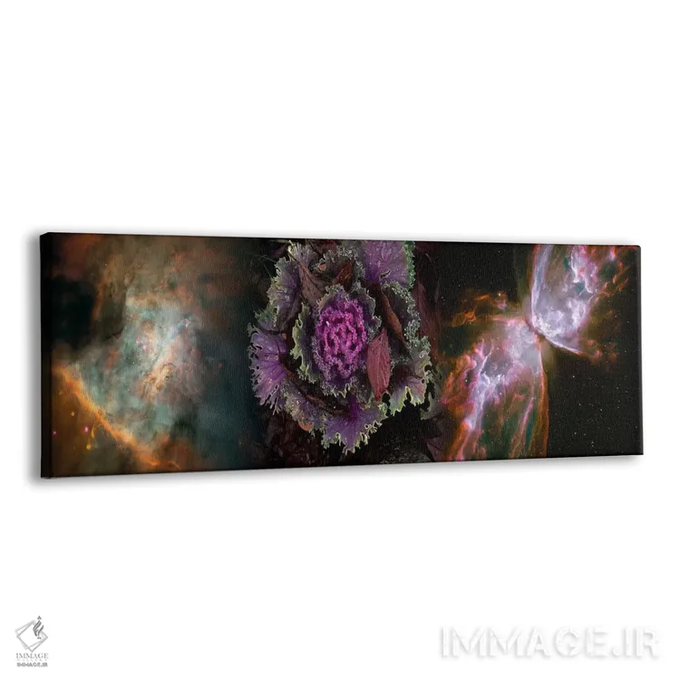 تابلو دکوراتیو کلم با سحابی پروانه اثر پانورامیک ایمجز - نمای پرسپکتیو محصول