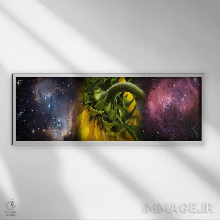 تابلو دکوراتیو آفتابگردان در کیهان هابل اثر پانورامیک ایمجز - نمای قابدار سفید