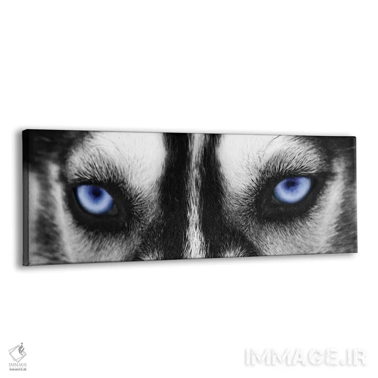 تابلو دکوراتیو چشمان هاسکی اثر فوتوآی ان سی استودیو - نمای پرسپکتیو محصول