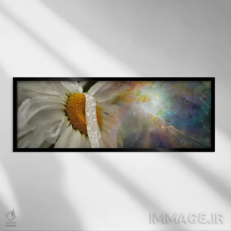 تابلو دکوراتیو گل مروارید با کیهان هابل اثر پانورامیک ایمجز - نمای قابدار مشکی