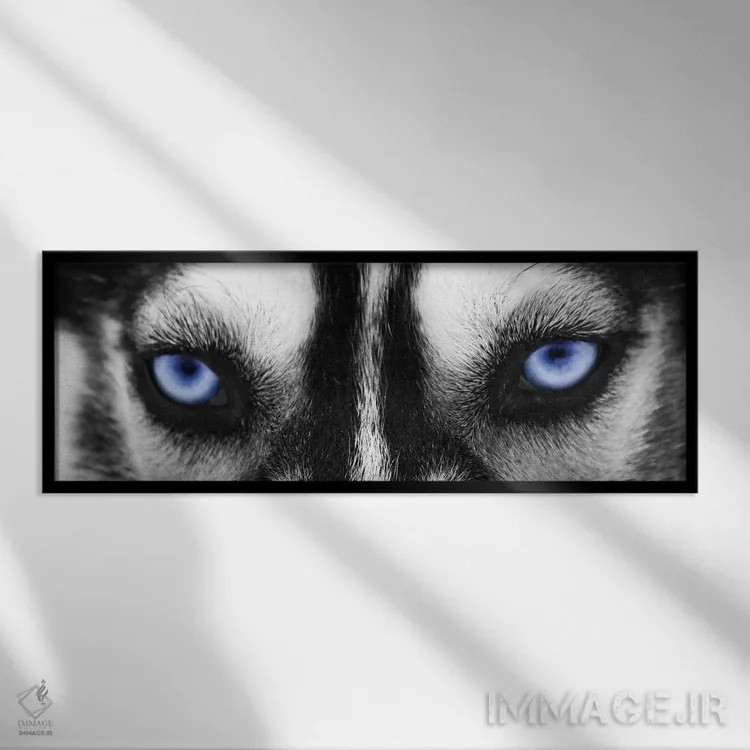 تابلو دکوراتیو چشمان هاسکی اثر فوتوآی ان سی استودیو - نمای قابدار مشکی