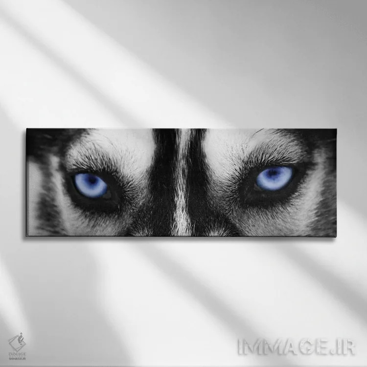 تابلو دکوراتیو چشمان هاسکی اثر فوتوآی ان سی استودیو - نمای روبهرو روی دیوار