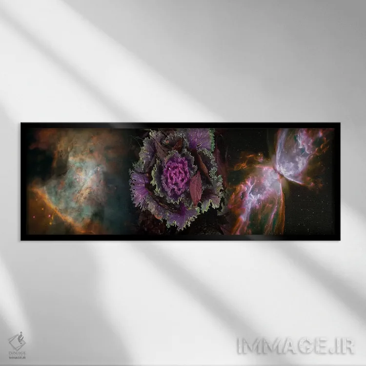 تابلو دکوراتیو کلم با سحابی پروانه اثر پانورامیک ایمجز - نمای قابدار مشکی