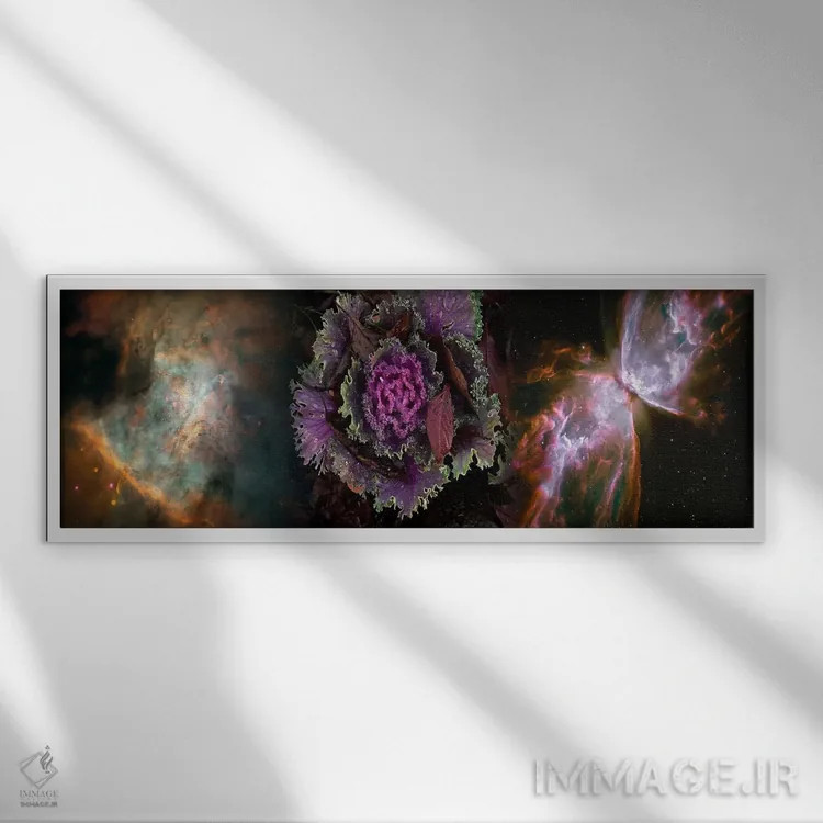 تابلو دکوراتیو کلم با سحابی پروانه اثر پانورامیک ایمجز - نمای قابدار سفید