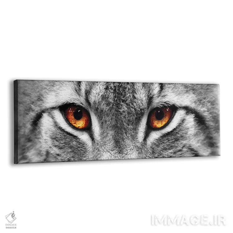 تابلو دکوراتیو چشمان سیاه گوش اثر فوتوآی ان سی استودیو - نمای پرسپکتیو محصول