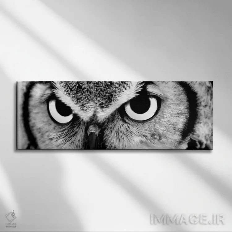 تابلو دکوراتیو چشمان جغد اثر فوتوآی ان سی استودیو - نمای روبهرو روی دیوار