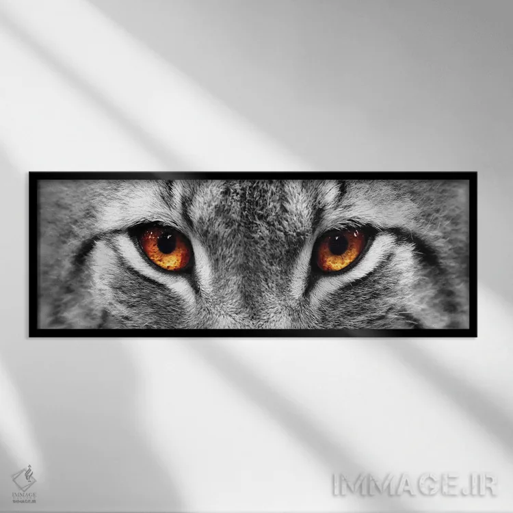 تابلو دکوراتیو چشمان سیاه گوش اثر فوتوآی ان سی استودیو - نمای قابدار مشکی