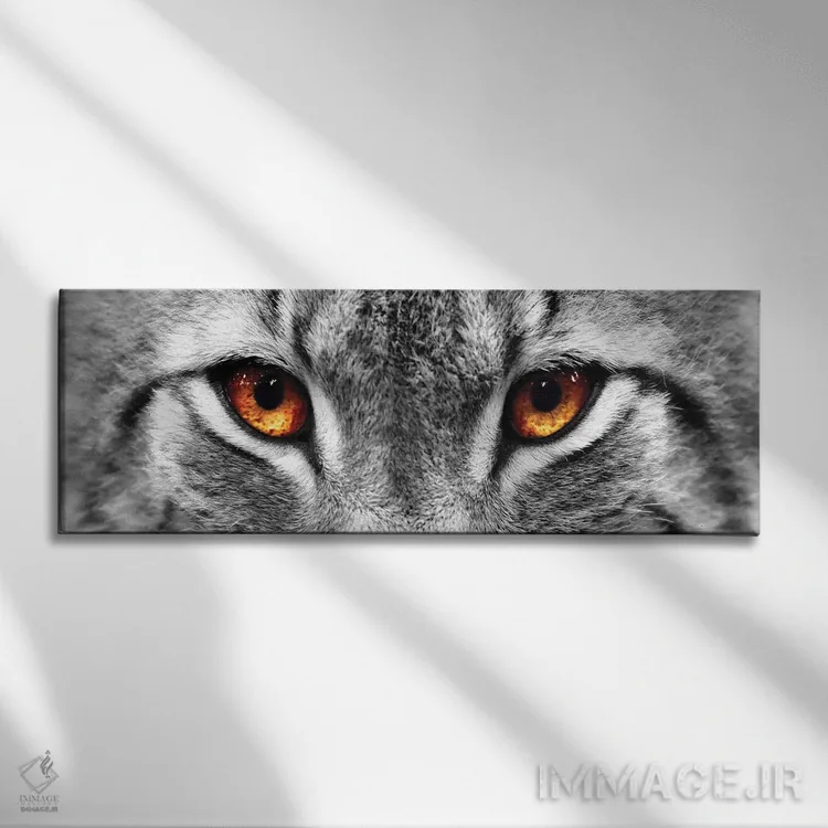 تابلو دکوراتیو چشمان سیاه گوش اثر فوتوآی ان سی استودیو - نمای روبهرو روی دیوار