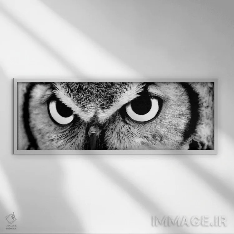 تابلو دکوراتیو چشمان جغد اثر فوتوآی ان سی استودیو - نمای قابدار سفید