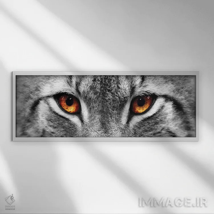 تابلو دکوراتیو چشمان سیاه گوش اثر فوتوآی ان سی استودیو - نمای قابدار سفید