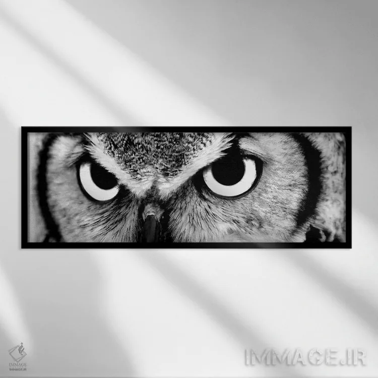 تابلو دکوراتیو چشمان جغد اثر فوتوآی ان سی استودیو - نمای قابدار مشکی