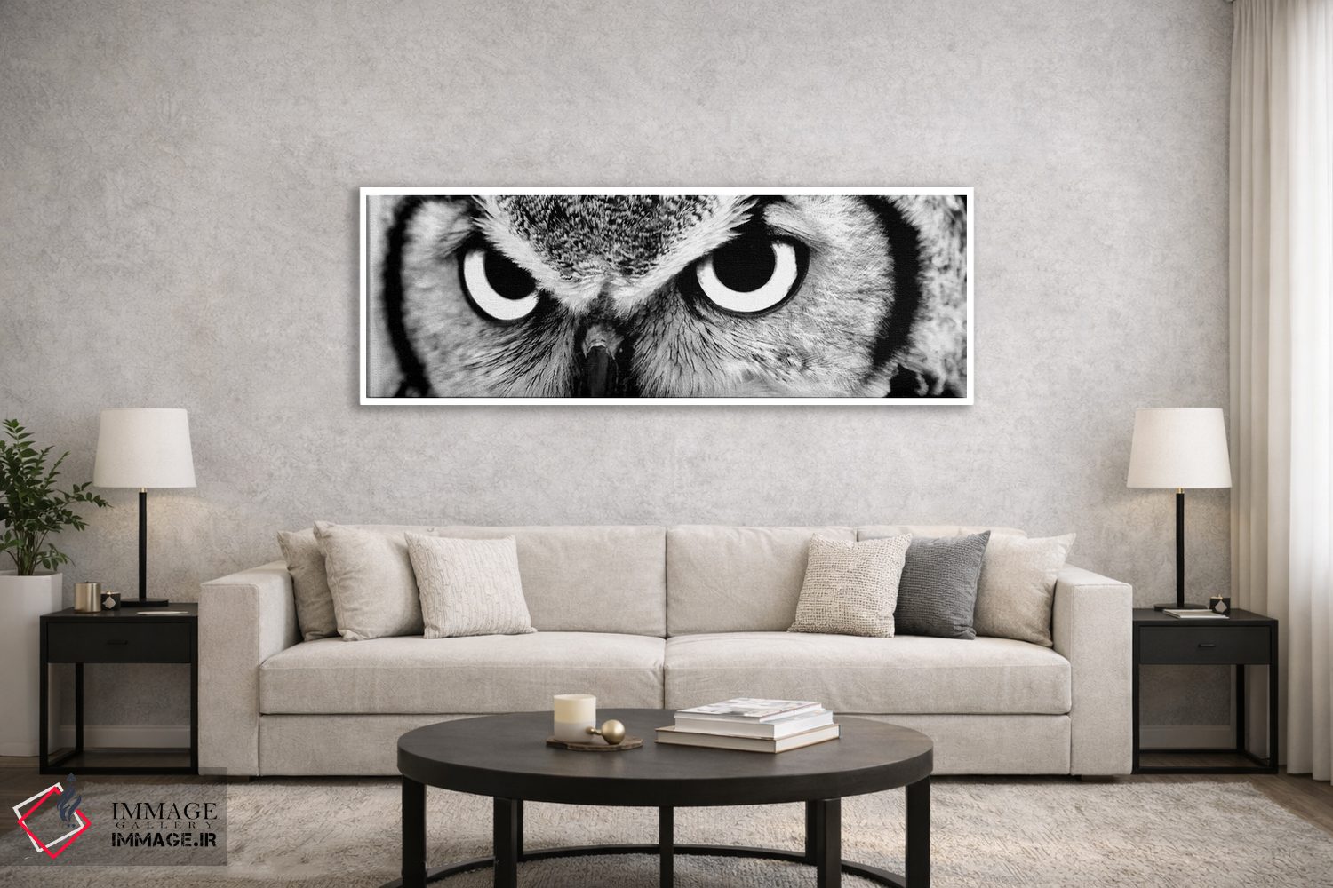 تابلو دکوراتیو چشمان جغد اثر فوتوآی ان سی استودیو - D5W